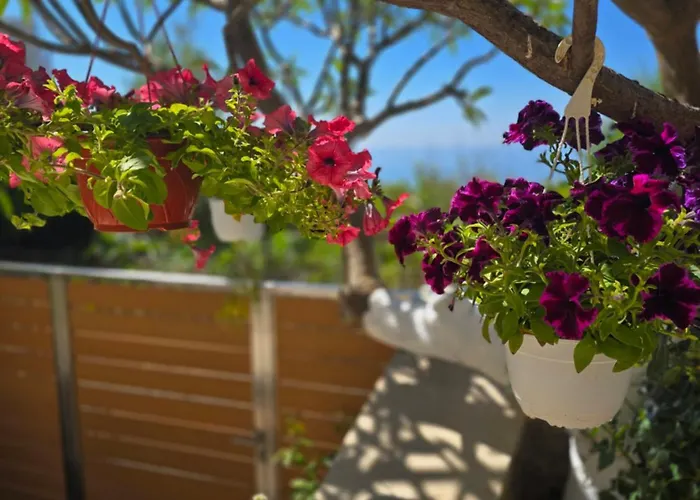 Wind Apartment In Agia Roumeli